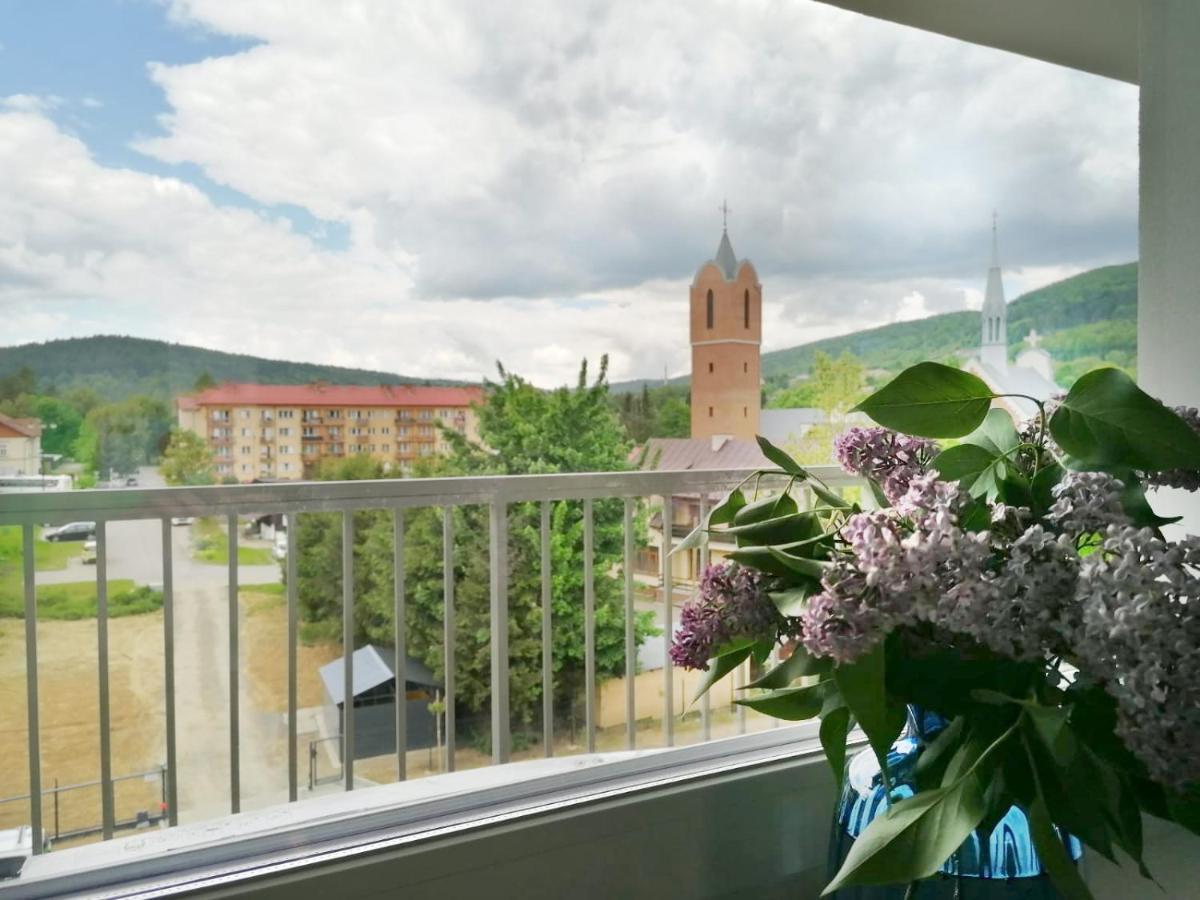 Apartament Gromadzyn 39 Ustrzyki Dolne Esterno foto